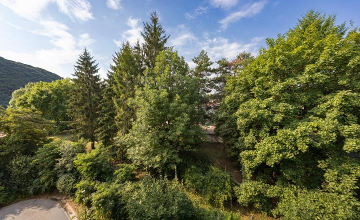 NA PREDAJ / Veľký 2-izbový byt na Švermovej - fotografia 6